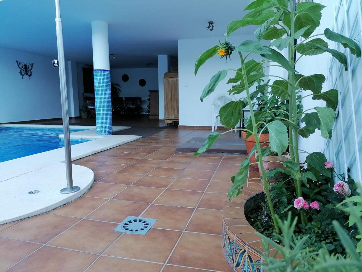 Apartment Casa Quercus Con Piscina Privada *